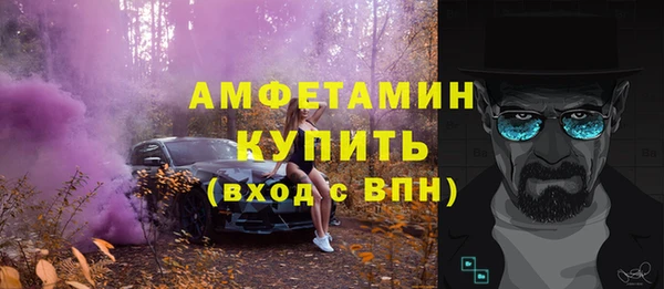 гидра Тавда
